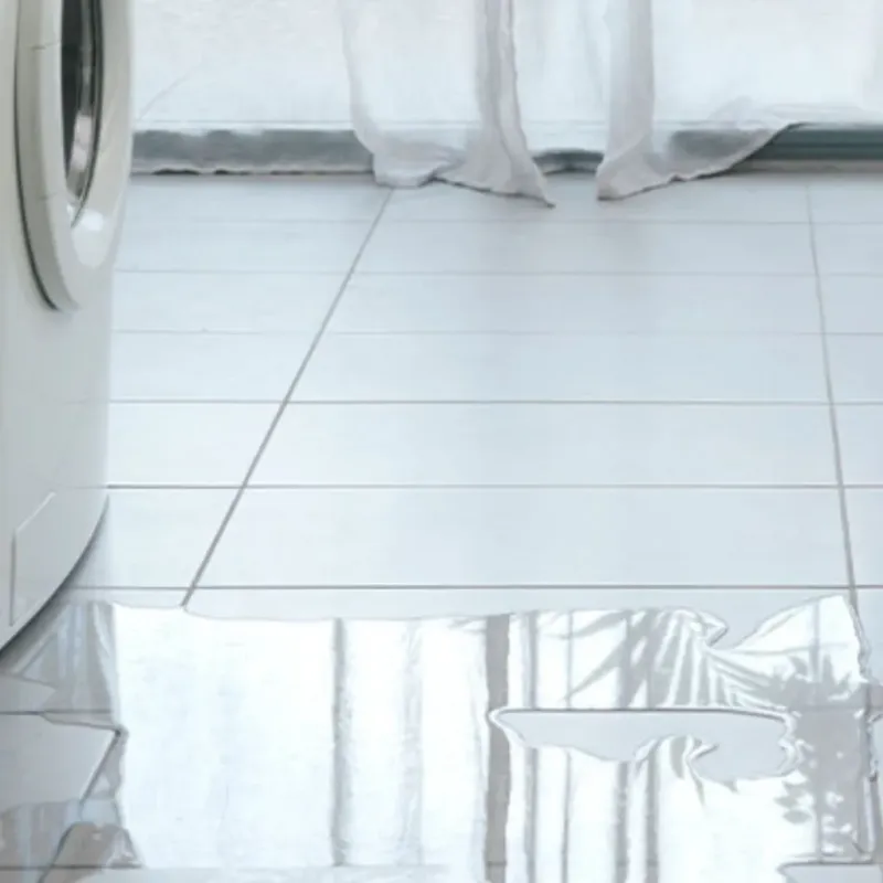 Appliance Leak Cleanup in Coral Terrace, FL