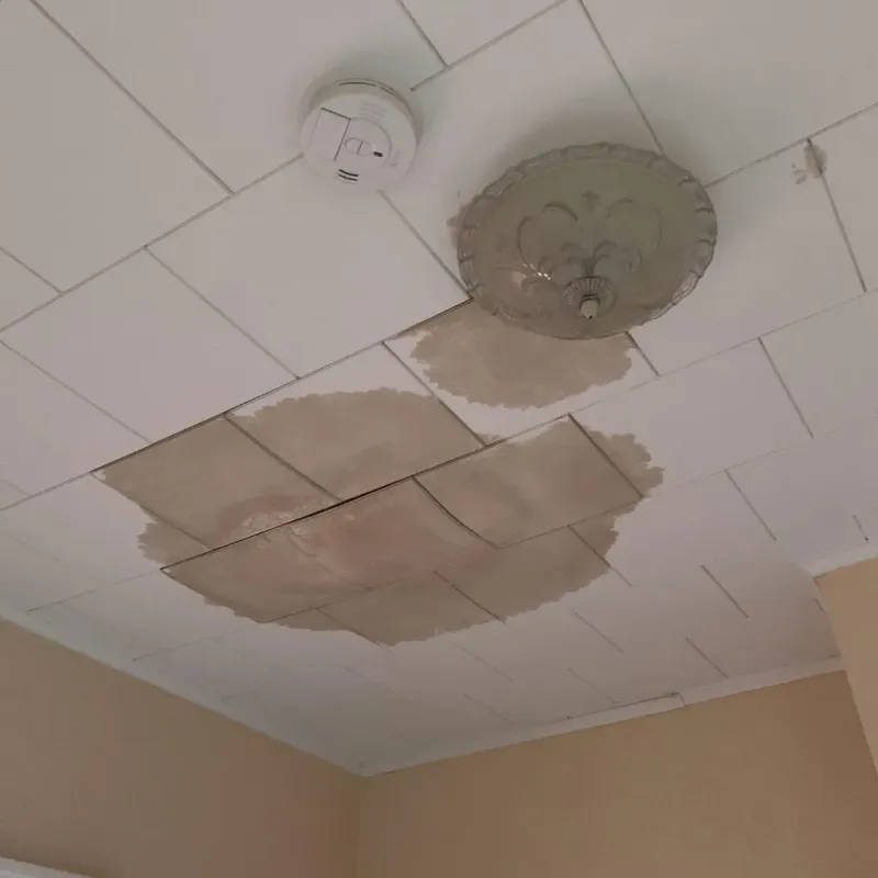 Ceiling Water Damage Repair in Coral Terrace, FL